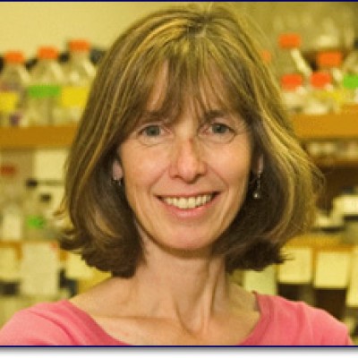 Mary Ann Moran Department of Microbiology