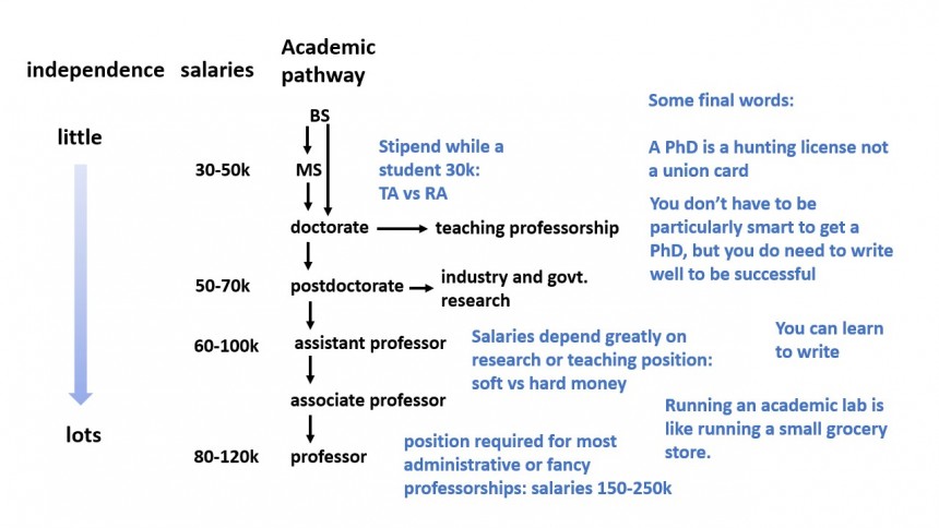 Career Flow Chart by Dr. Whitman