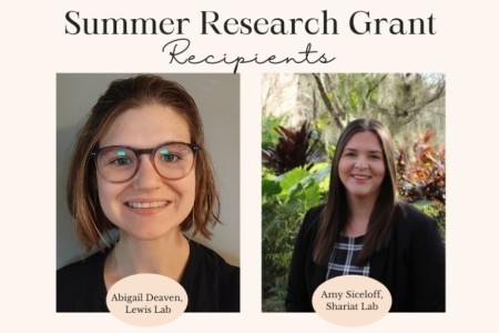 Summer Research Grant